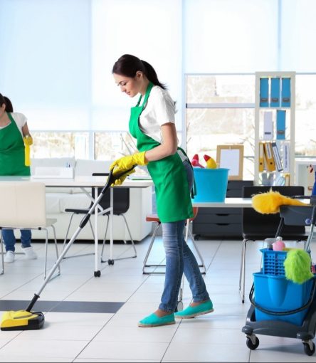 Mechanized Housekeeping Services