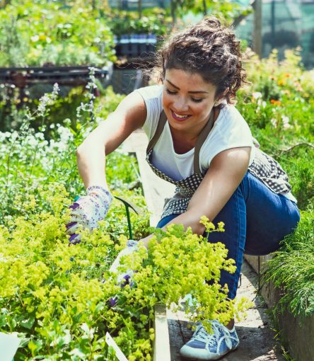 gardening & horticulture service